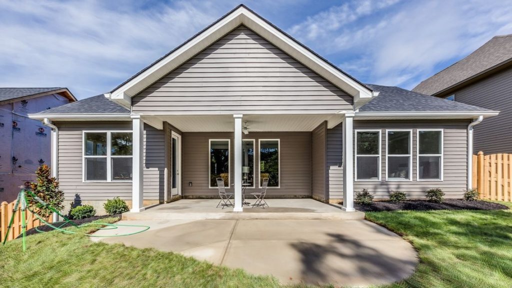 High resolution image #36 for Lot 58 – 910 Shasta Daisy.