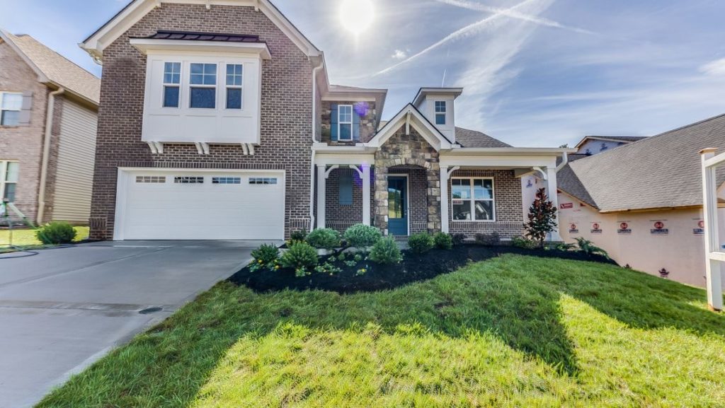 High resolution image #2 for Lot 58 – 910 Shasta Daisy.