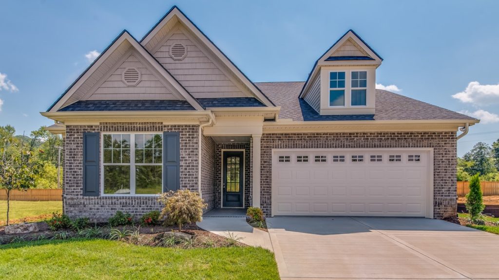 Image #3 for Barberry