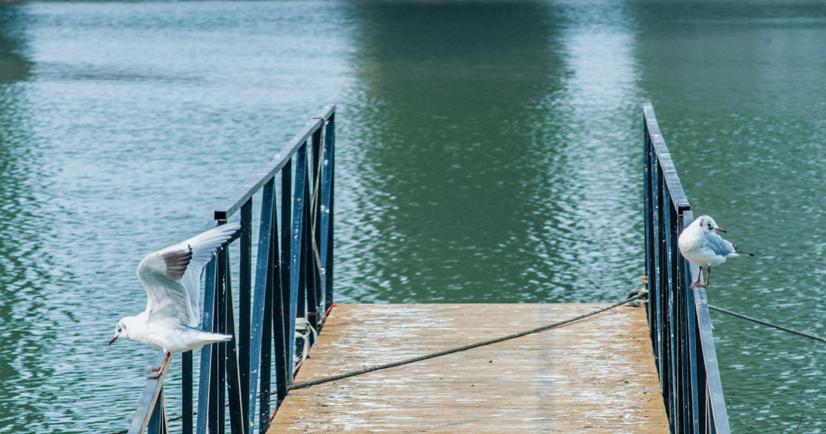 Concord Park & Marina