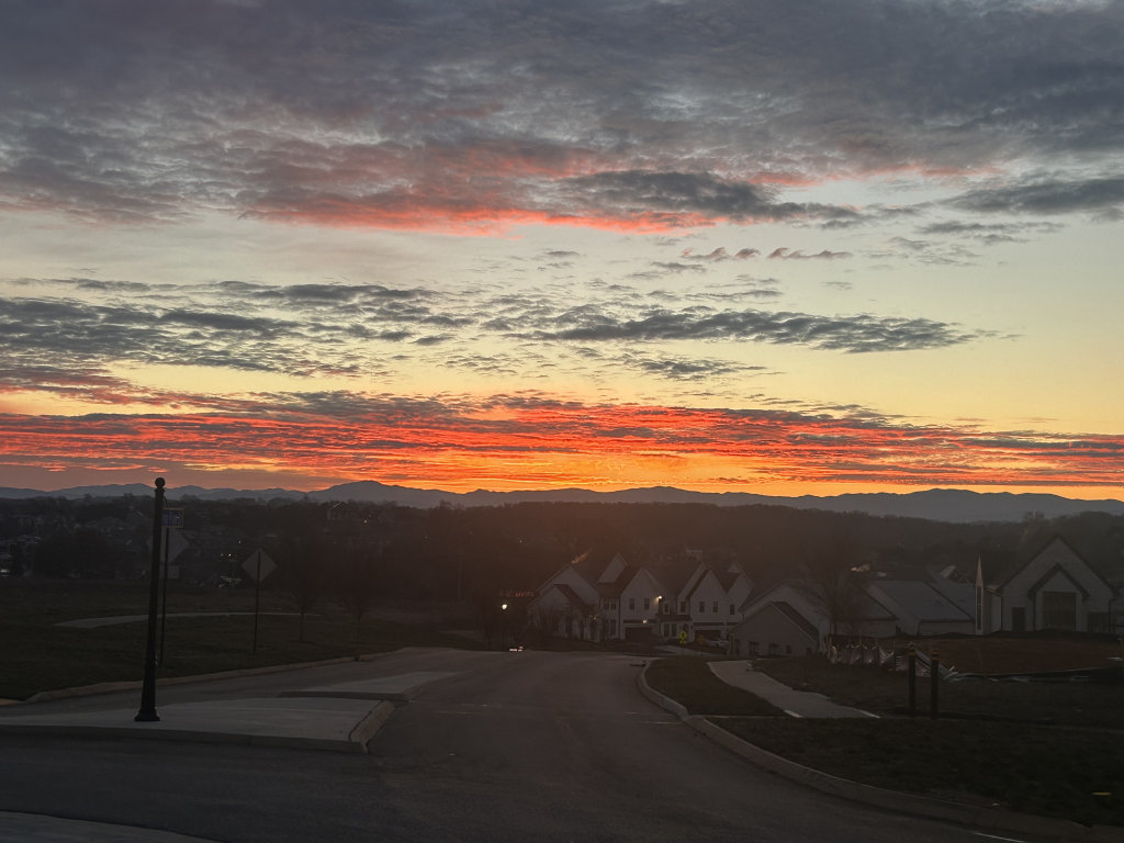 The Grove Towns property image 11