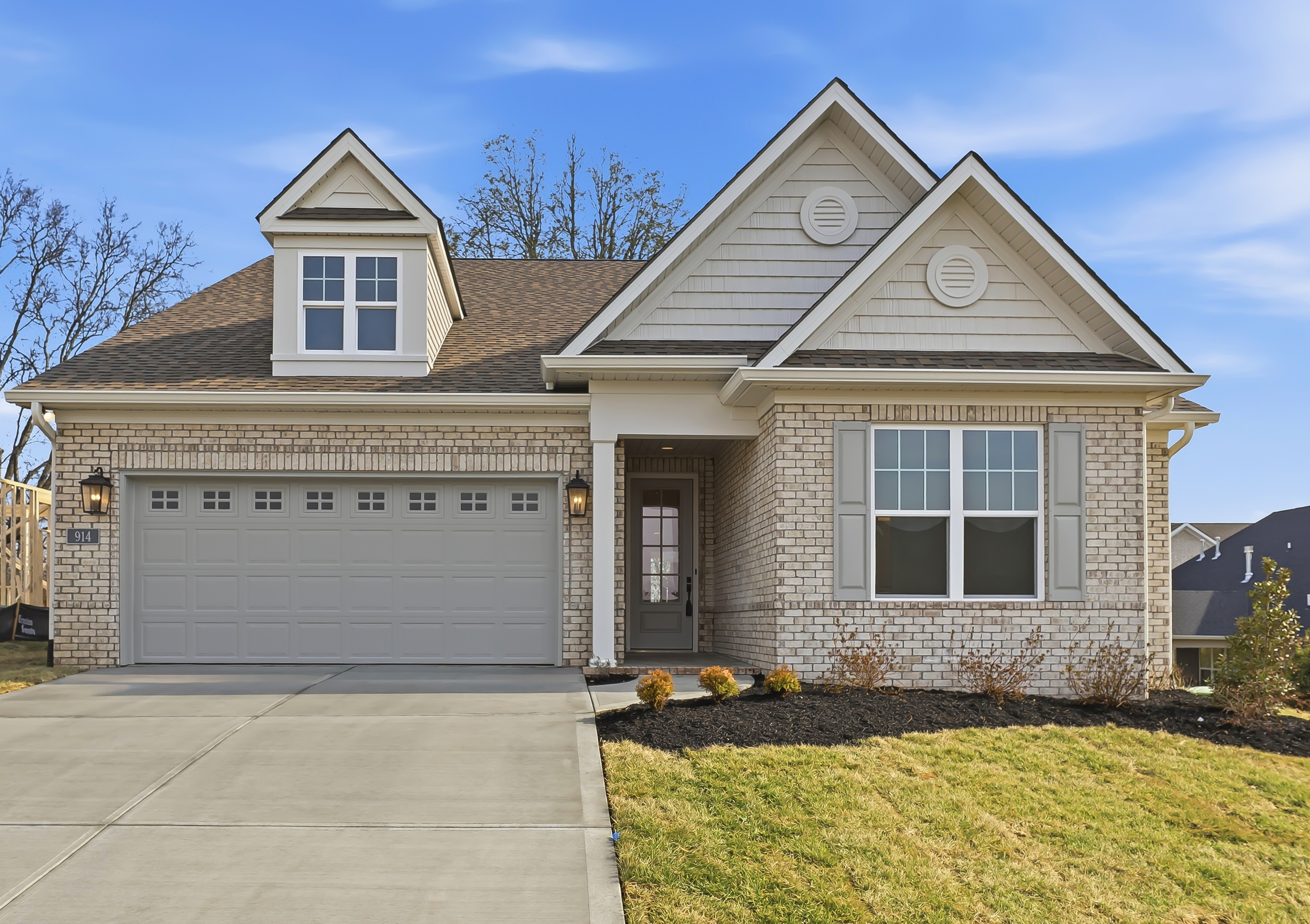 Lot 59 – 914 Shasta Daisy