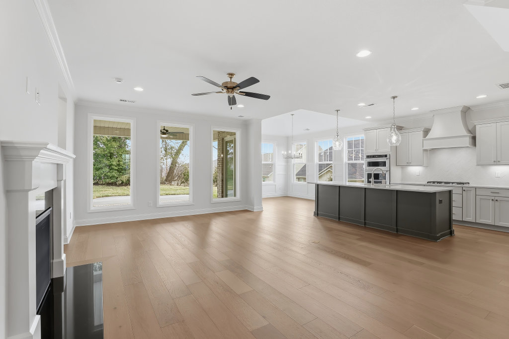 High resolution image #11 for Lot 59 – 914 Shasta Daisy.