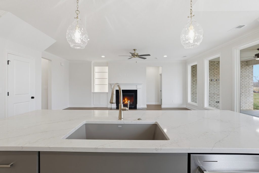 High resolution image #7 for Lot 59 – 914 Shasta Daisy.