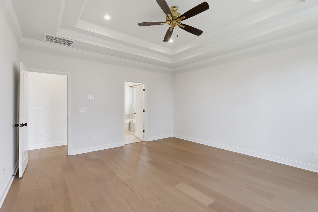 High resolution image #15 for Lot 59 – 914 Shasta Daisy.