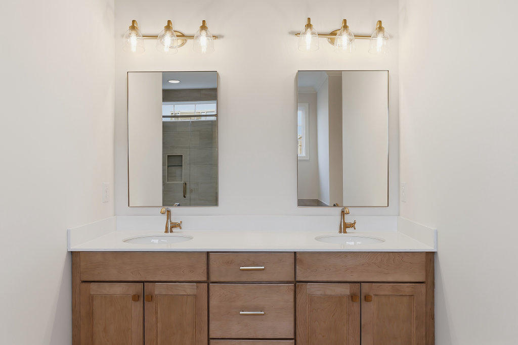 High resolution image #16 for Lot 59 – 914 Shasta Daisy.