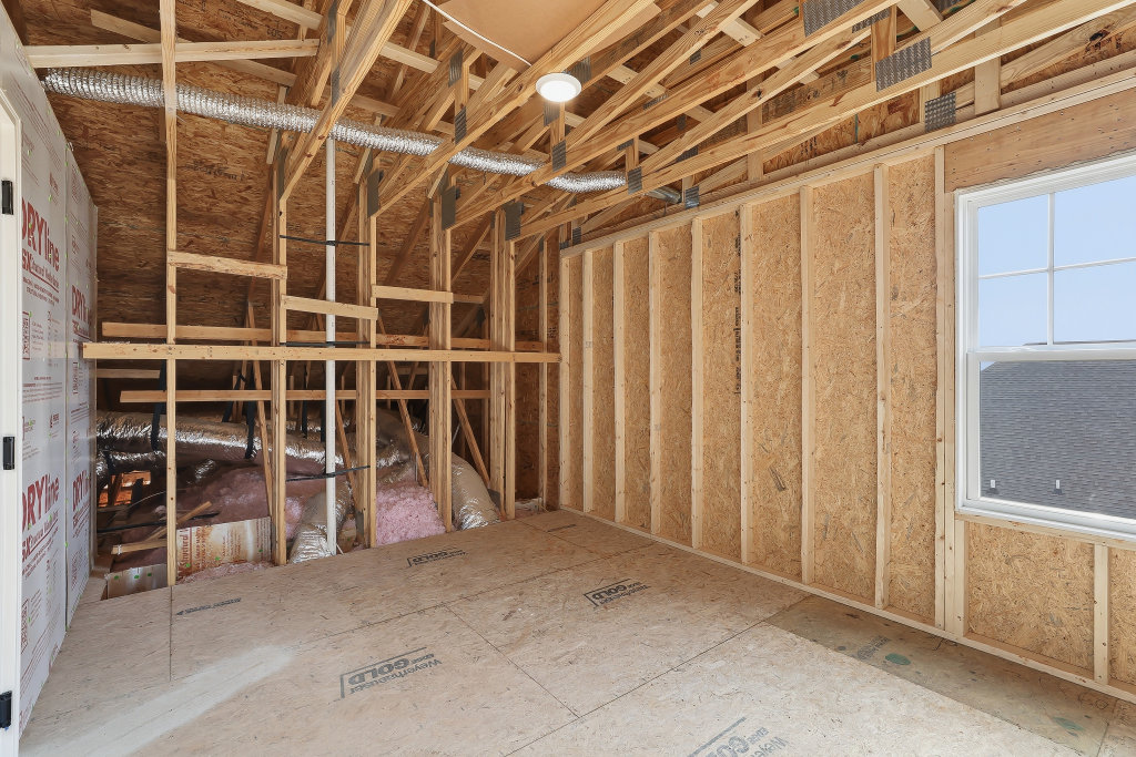 High resolution image #26 for Lot 59 – 914 Shasta Daisy.