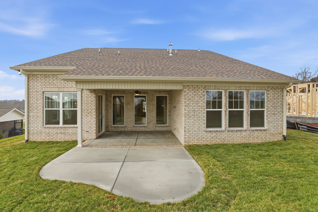 High resolution image #29 for Lot 59 – 914 Shasta Daisy.