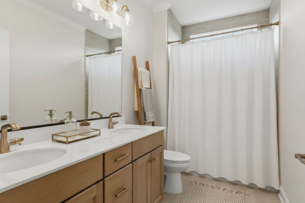 High resolution image #21 for Lot 59 – 914 Shasta Daisy.