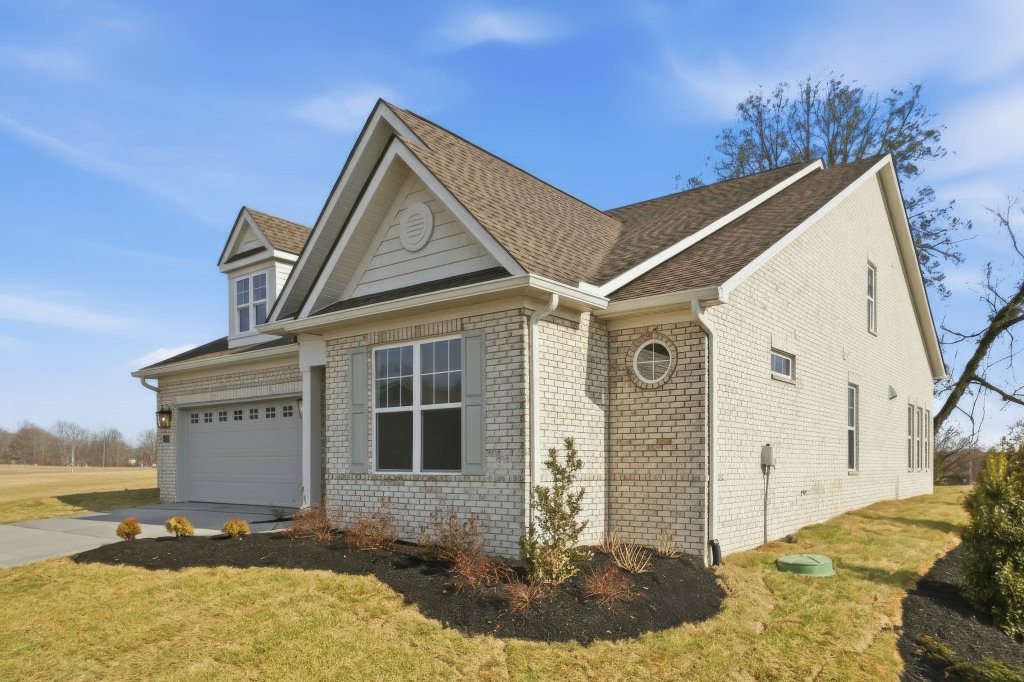 High resolution image #4 for Lot 59 – 914 Shasta Daisy.