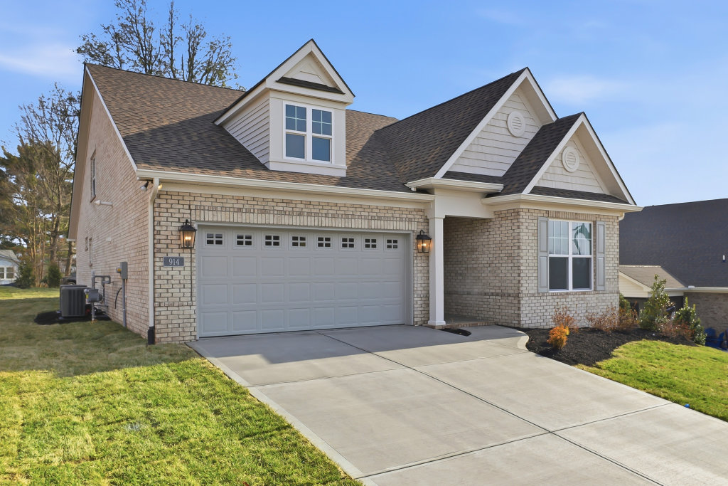 High resolution image #1 for Lot 59 – 914 Shasta Daisy.